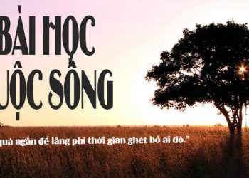 Những bài viết hay về cuộc sống