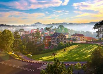 Tâm Sự: Đà Lạt, Những Ngày Trở Lại