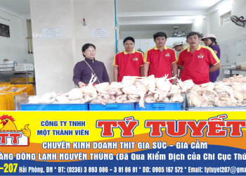 CÔNG TY TNHH MỘT THÀNH VIÊN TÝ TUYẾT – ĐIỂM ĐẾN AN TOÀN ĐỂ MUA LƯƠNG THỰC TRONG MÙA DỊCH