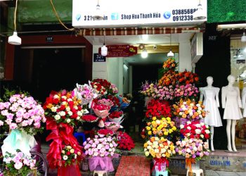 SHOP HOA ĐÀO THỦY