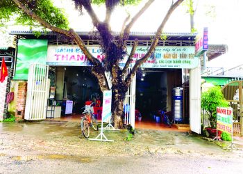 BỘT LỌC HUẾ THANH NGA – ĐẠT LÝ