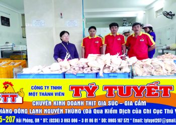 CÔNG TY TNHH MỘT THÀNH VIÊN TÝ TUYẾT