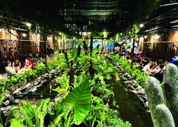 TÀ XÙA COFFEE – RỪNG NHIỆT ĐỚI